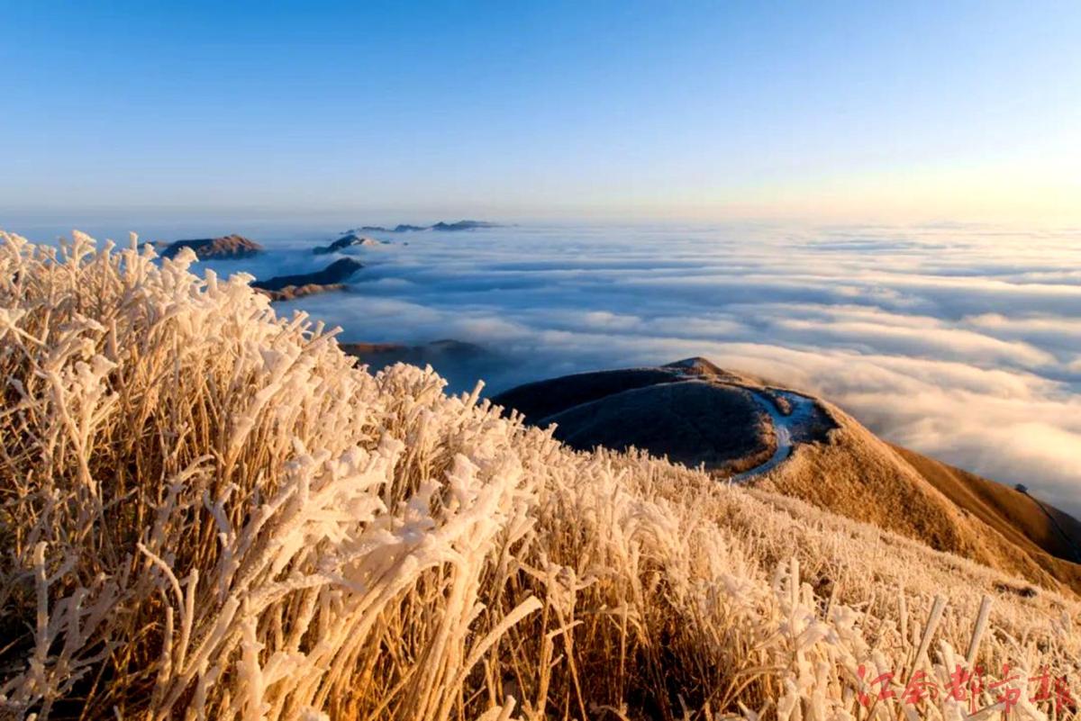 萍鄉(xiāng)武功山：霧凇云海，銀裝素裹